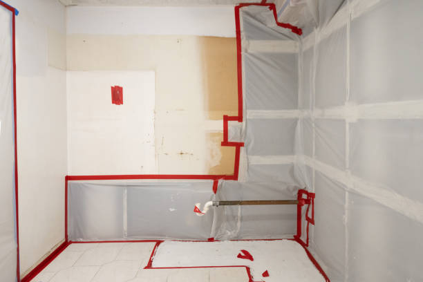 Best Commercial Mold Inspection  in Violet, LA